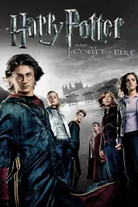 Poster to the movie "Harry Potter and the Goblet of Fire" #907501