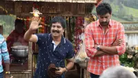 Backdrop to the movie "Brindavanam" #858941