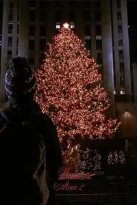 Poster to the movie "Home Alone 2: Lost in New York" #1119935