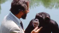 Backdrop to the movie "Lucy the Human Chimp" #896968