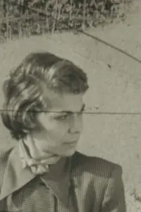 Poster to the movie "Full of Fire" #1008301