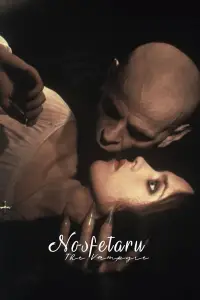 Poster to the movie "Nosferatu the Vampyre" #1136056