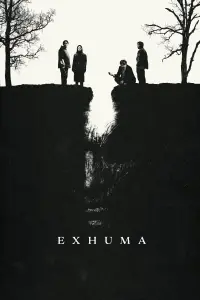 Poster to the movie "Exhuma" #930324