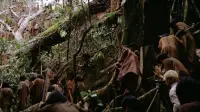 Backdrop to the movie "Fitzcarraldo" #719570