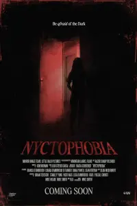 Poster to the movie "Nyctophobia" #734772