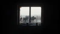 Backdrop to the movie "To Kill a Mongolian Horse" #818948