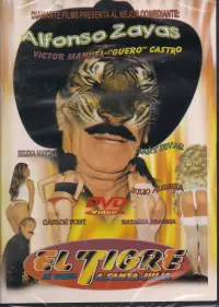 Poster to the movie "El Tigre se comió a Santa Julia" #882311