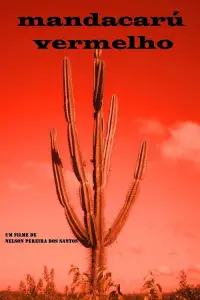 Poster to the movie "Red Mandacaru" #1068310