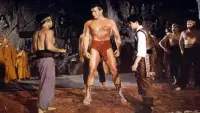Backdrop to the movie "Samson and the 7 Miracles of the World" #717732