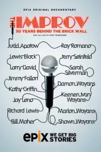 Poster to the movie "The Improv: 50 Years Behind the Brick Wall" #1130883
