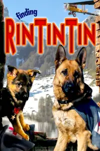 Poster to the movie "Finding Rin Tin Tin" #1100040