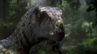 Backdrop to the movie "Jurassic Park III" #740393