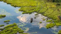 Backdrop to the movie "Okavango: A Flood of Life" #891308