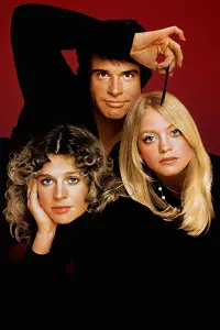 Poster to the movie "Shampoo" #707862