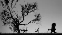 Backdrop to the movie "Where the Wild Things Are" #745041