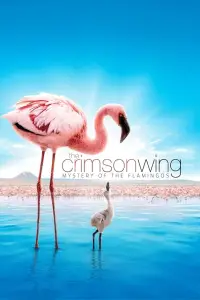 Poster to the movie "The Crimson Wing: Mystery of the Flamingos" #964454