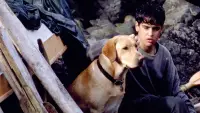 Backdrop to the movie "Far from Home: The Adventures of Yellow Dog" #882061