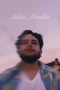 Poster to the movie "Adiós Abuelita" #438088