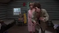 Backdrop to the movie "Friday the 13th" #789843