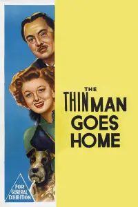 Poster to the movie "The Thin Man Goes Home" #1154888