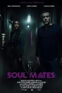 Poster to the movie "Soul Mates" #989692