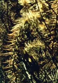 Poster to the movie "Epilogue" #1097115