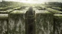 Backdrop to the movie "The Maze Runner" #867542