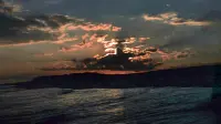Backdrop to the movie "Jaws" #775377