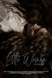 Poster to the movie "Little Women" #741220