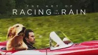 Backdrop to the movie "The Art of Racing in the Rain" #983623