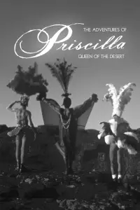 Poster to the movie "The Adventures of Priscilla, Queen of the Desert" #970630