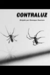 Poster to the movie "Contraluz" #1006807