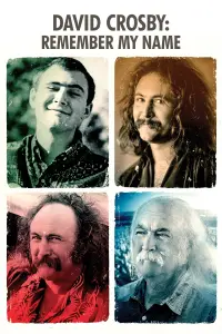 Poster to the movie "David Crosby: Remember My Name" #1002202