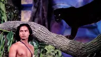 Backdrop to the movie "Jungle Book" #719885