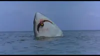 Backdrop to the movie "The Last Shark" #746026