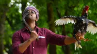 Backdrop to the movie "Ala Vaikunthapurramuloo" #717107
