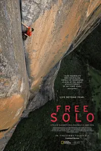Poster to the movie "Free Solo" #957912