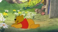 Backdrop to the movie "Winnie the Pooh Discovers the Seasons" #1179492