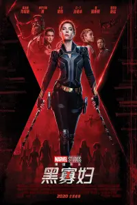 Poster to the movie "Black Widow" #935389