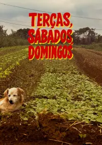 Poster to the movie "Tuesdays, Saturdays, Sundays" #792079