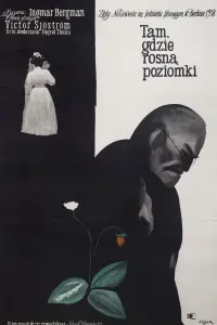 Poster to the movie "Wild Strawberries" #1030714