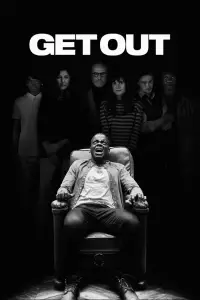 Poster to the movie "Get Out" #928172