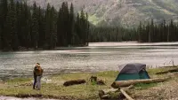 Backdrop to the movie "Brokeback Mountain" #819754