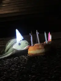 Poster to the movie "Donut Do It!" #1198816