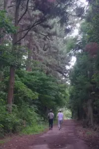 Poster to the movie "The Time of Jeju" #1057751