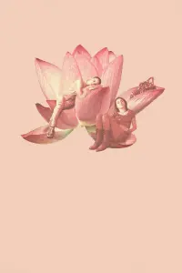 Poster to the movie "Never Rarely Sometimes Always" #859169