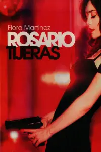 Poster to the movie "Rosario Tijeras" #349345