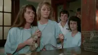 Backdrop to the movie "Reform School Girls" #533706