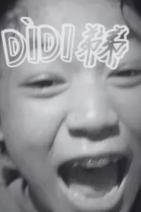 Poster to the movie "Dìdi (弟弟)" #749043