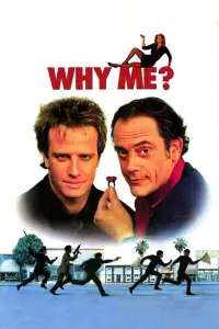 Poster to the movie "Why Me?" #988320